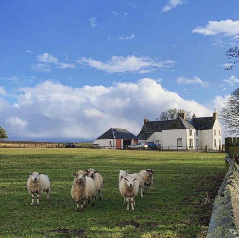 Tarrel Farmhouse Bed & Breakfast Portmahomack Exterior photo